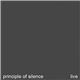Principle Of Silence - Live