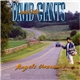 David & The Giants - Angels Unaware