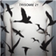 Trisomie 21 - Don't You Hear?