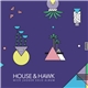House & Hawk - Mick Jagger Solo Album