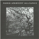 Various - Nord Ambient Alliance