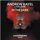 Andrew Rayel & Haliene - In The Dark