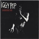 Iggy Pop - Cambridge 1993