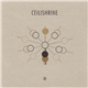Ceilishrine - Projection Screen/ Last Night I Dreamt Somebody Loved Me