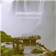 Springintgut - Where We Need No Map