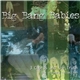 Big Bang Babies - 3 Chords And The Truth