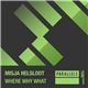 Misja Helsloot - Where Why What