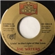 Joe Waters - Livin' In The Light Of Her Love / Wild Honey Mountain Girl