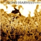 Various - Tone Harvest V.A. Vol #1