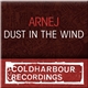 Arnej - Dust In The Wind