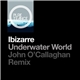 Ibizarre - Underwater World (John O’Callaghan Remix)