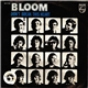 Bloom - Don't Break This Heart