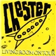 Chester - Living Room On Tour