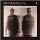 SpectraSoul - Delay No More