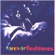 The Fleshtones - Forever Fleshtones