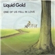 Liquid Gold - One Of Us Fell In Love