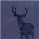 Cold Body Radiation - Deer Twillight